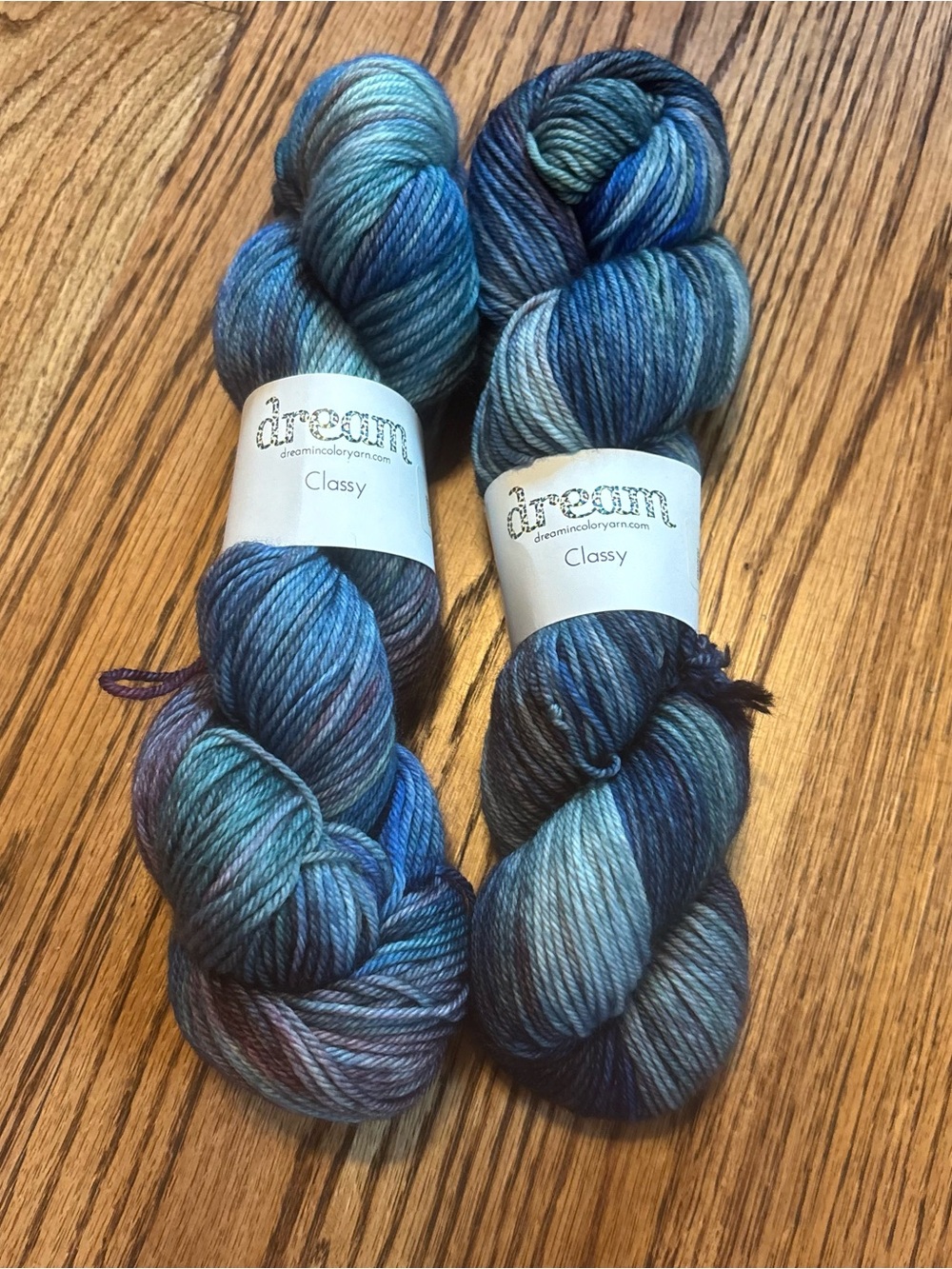 Dream in Color Yarn Lot of 2 Classy Hand-Dyed Blue Superwash Merino Wool Worsted
